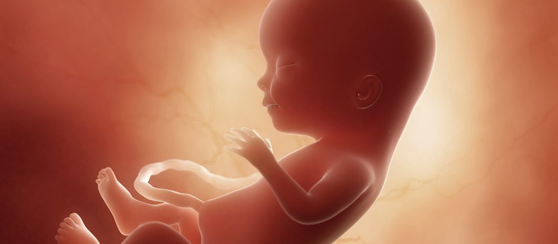 rights-unborn